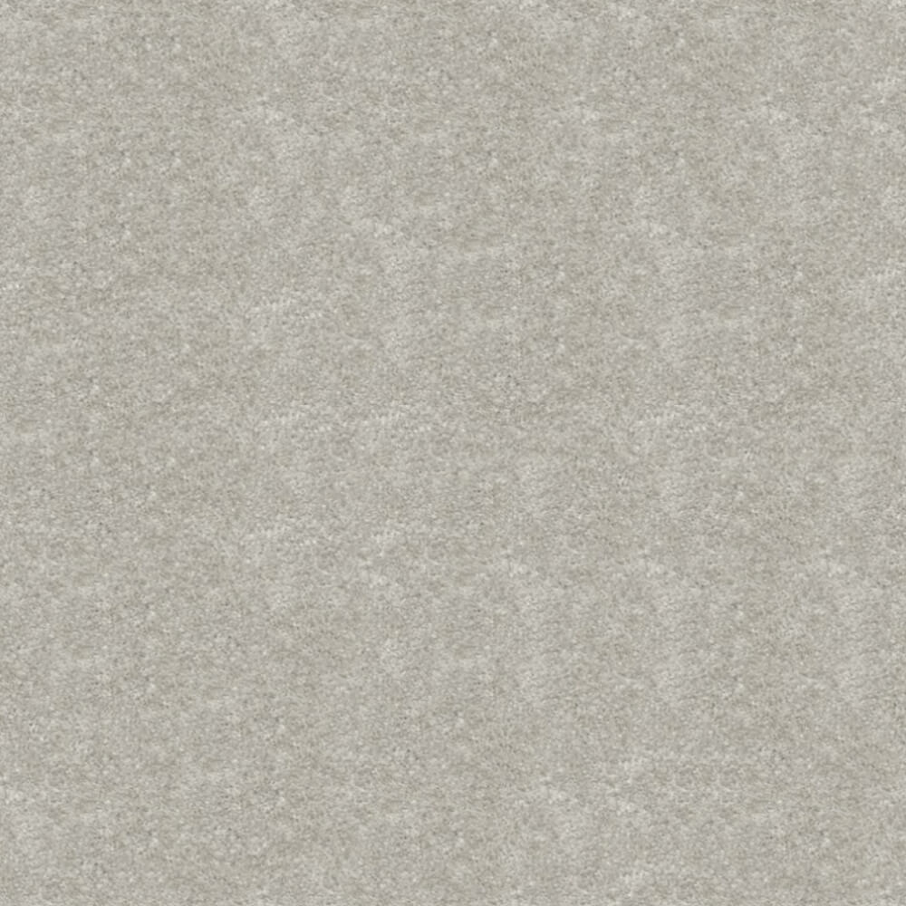 Obsession Carpet