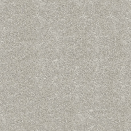 Obsession Carpet