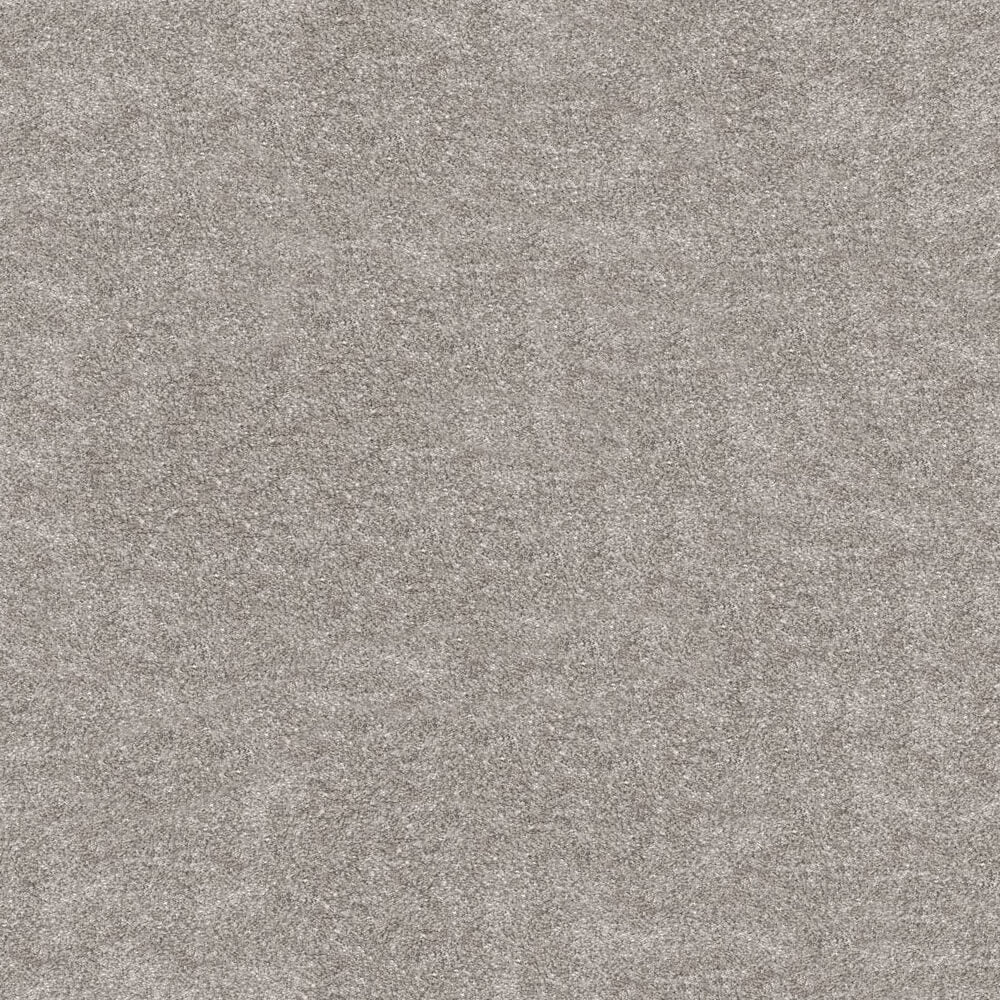 Obsession Carpet