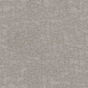 Obsession Carpet