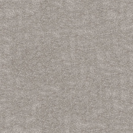 Obsession Carpet