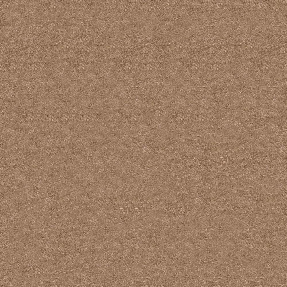Obsession Carpet