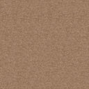 Obsession Carpet