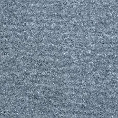 Captivation Carpet