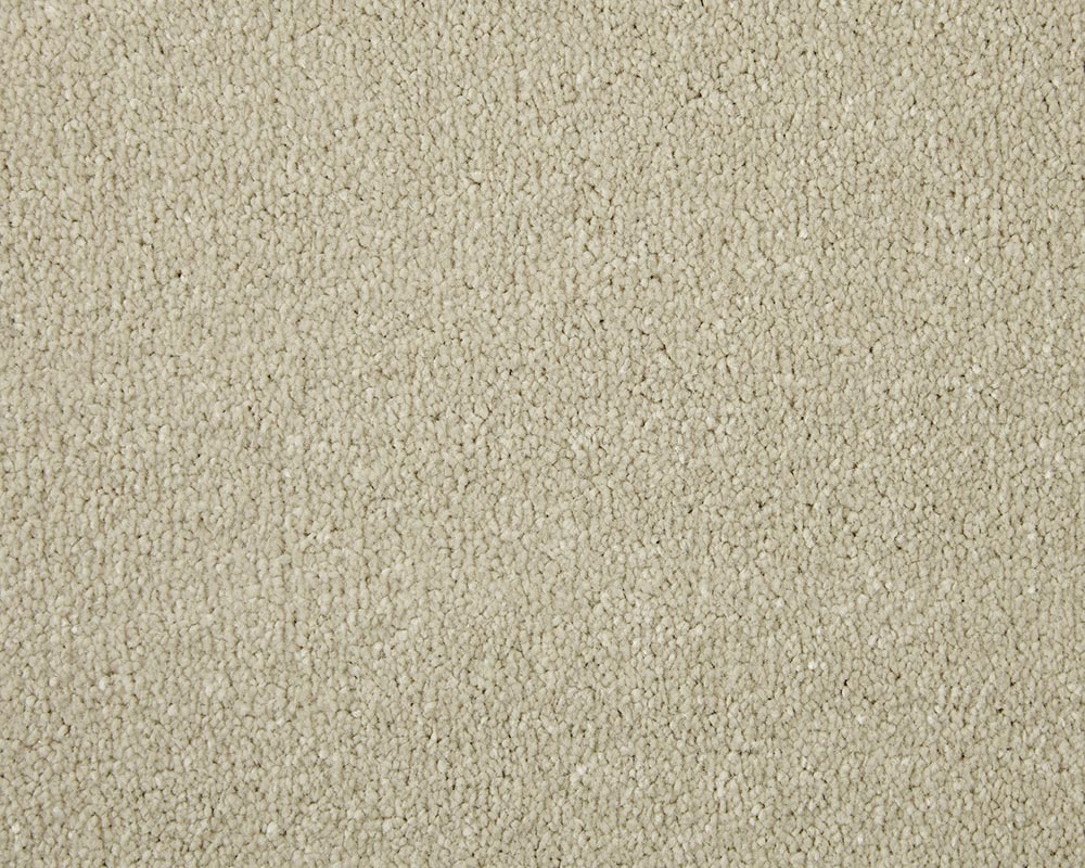 Apollo Elite Carpet