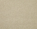 Apollo Elite Carpet