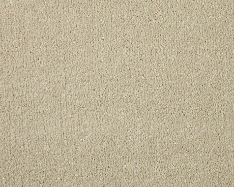 Apollo Elite Carpet