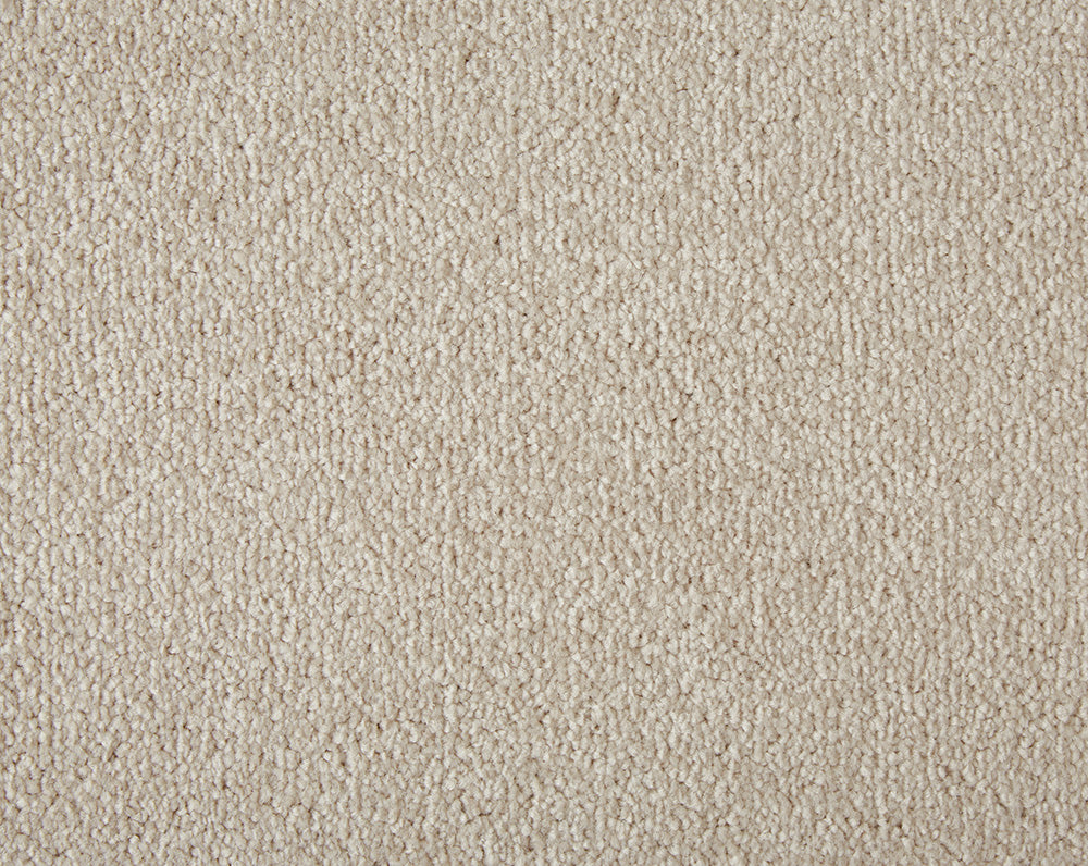 Primo Plus Carpet