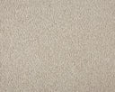 Primo Plus Carpet