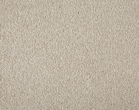 Primo Plus Carpet