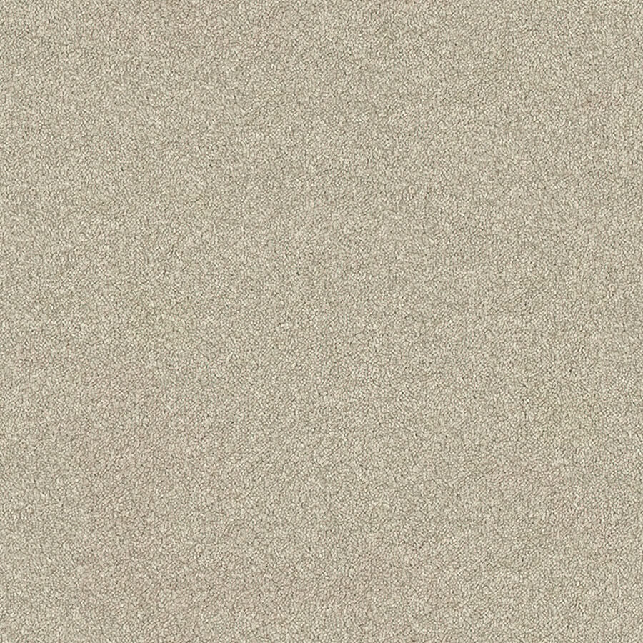 Stainfree Ultra Carpet
