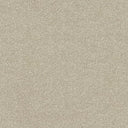 Stainfree Ultra Carpet
