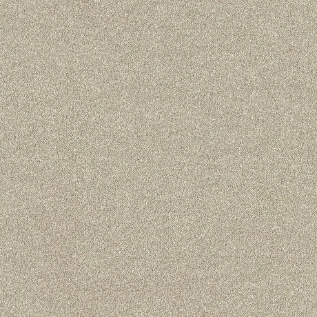 Stainfree Ultra Carpet