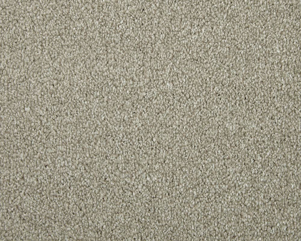 Apollo Elite Carpet