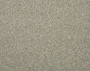 Apollo Elite Carpet