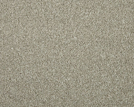 Apollo Elite Carpet