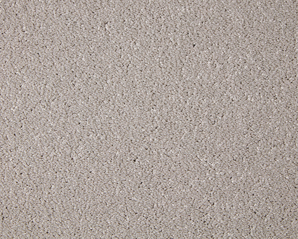 Primo Grande Carpet