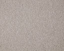 Primo Grande Carpet