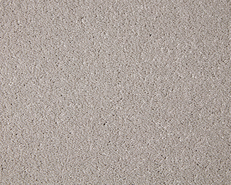 Primo Grande Carpet