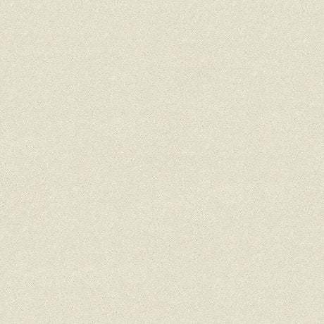 Stainfree Twist Carpet