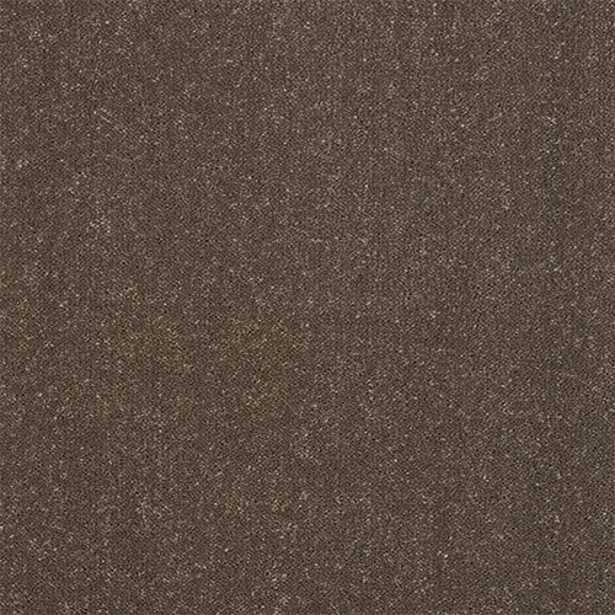 Captivation Carpet