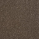 Captivation Carpet