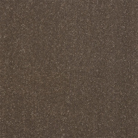 Captivation Carpet