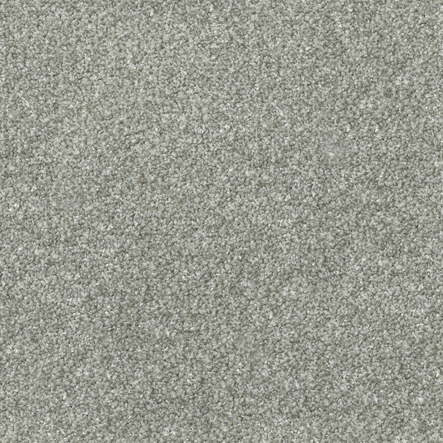 Apollo Plus Carpet