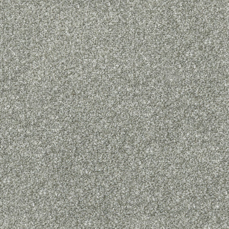 Apollo Plus Carpet