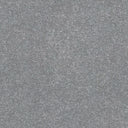 Stainfree Ultra Carpet