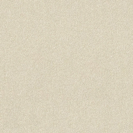 Stainfree Ultra Carpet