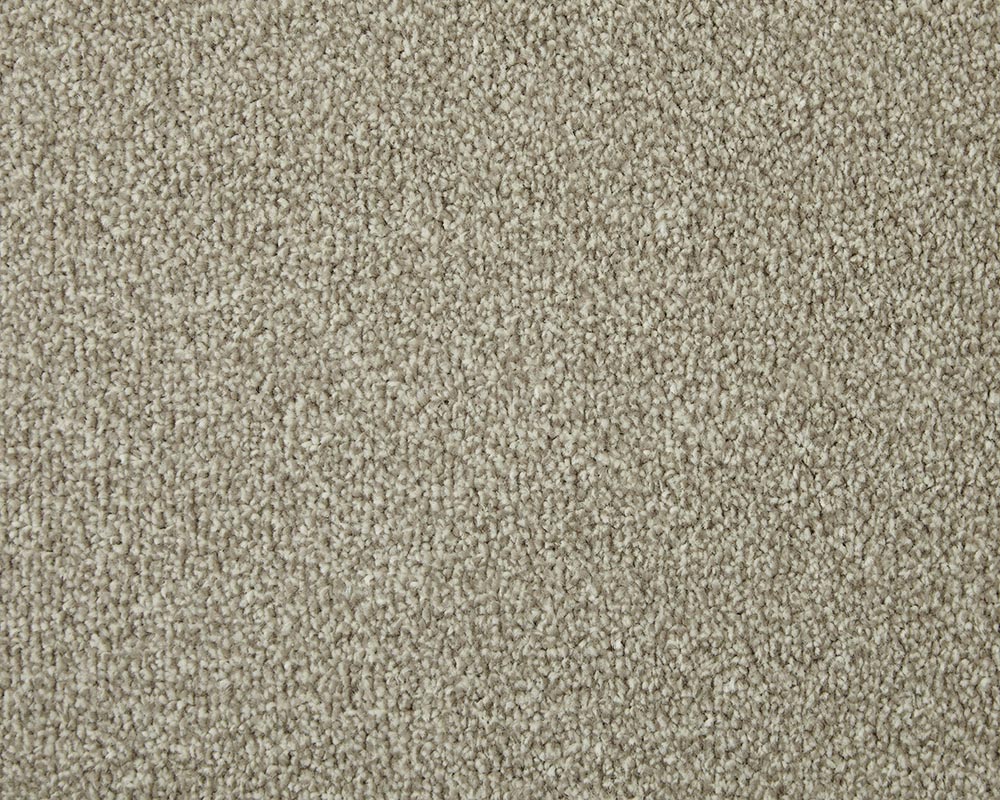 Apollo Elite Carpet