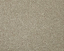 Apollo Elite Carpet