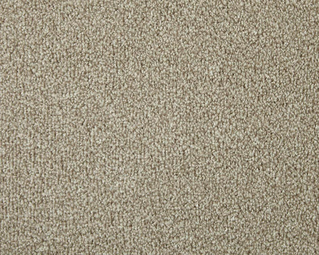 Apollo Elite Carpet