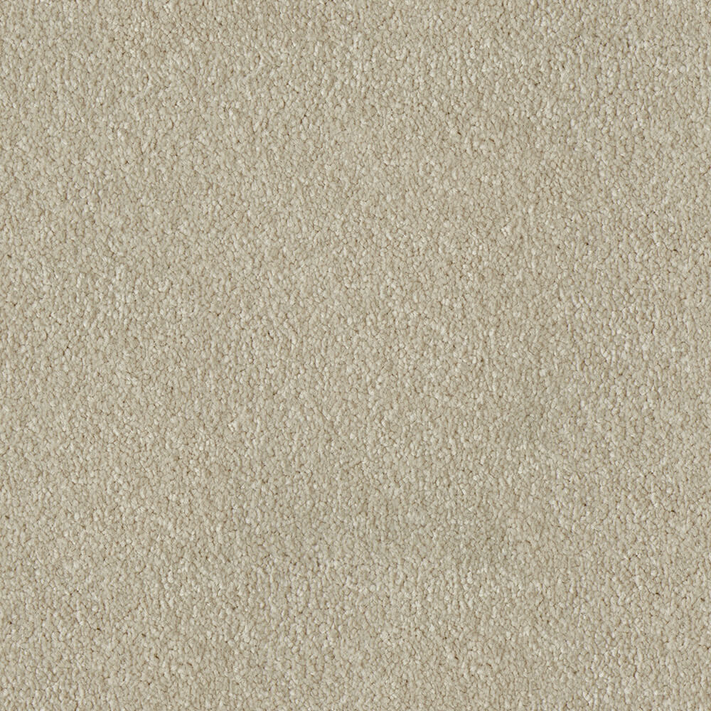 Primo Plus Carpet