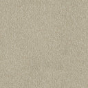 Primo Plus Carpet
