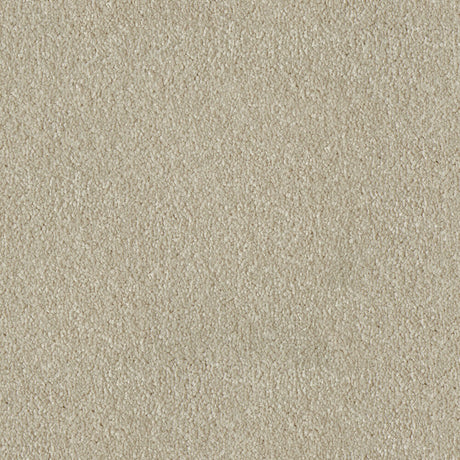 Primo Plus Carpet