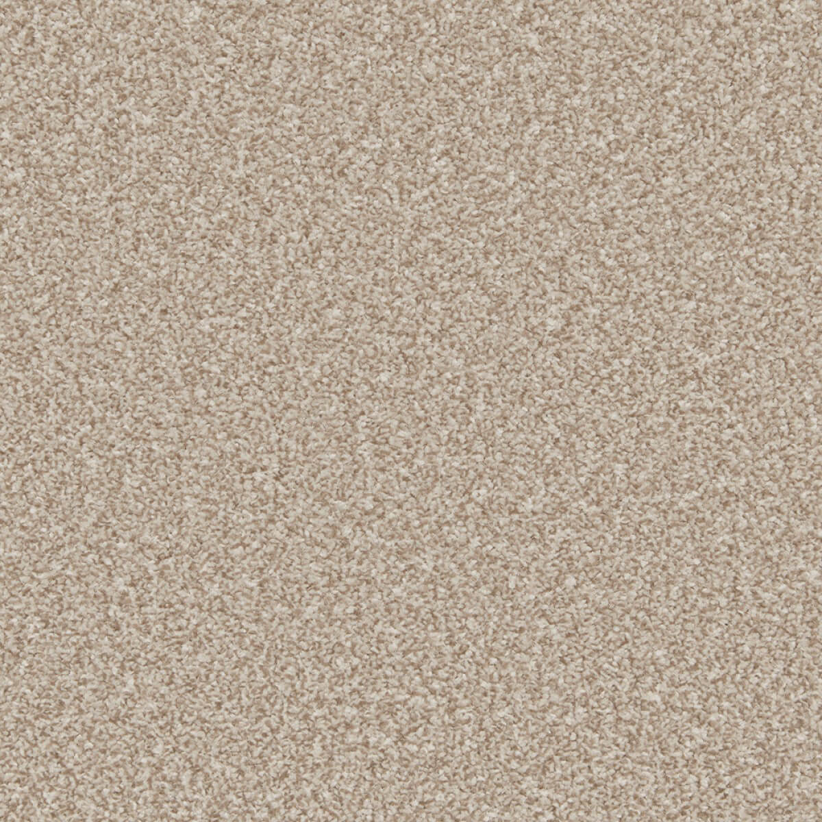Primo Ultra Carpet