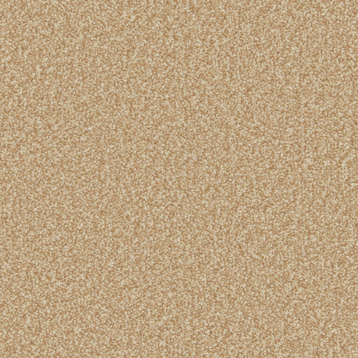 Primo Ultra Carpet