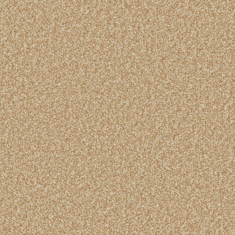 Primo Ultra Carpet