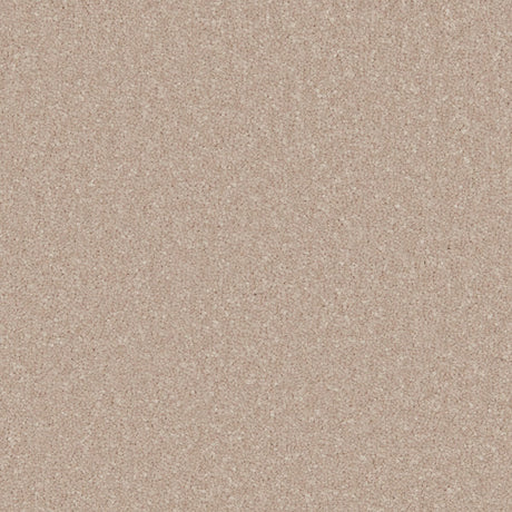 Primo Ultra Carpet