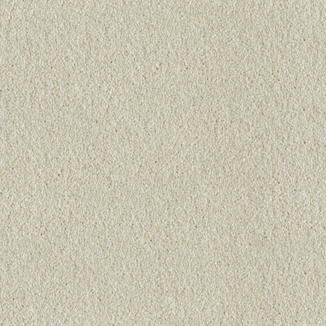 Primo Ultra Carpet
