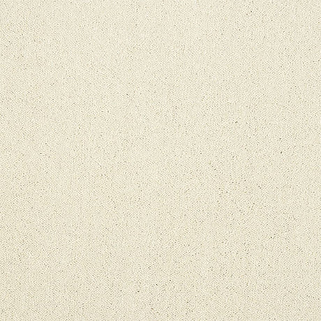 Pure Elegance Carpet