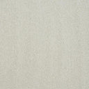 Pure Elegance Carpet