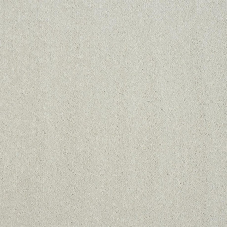 Pure Elegance Carpet