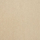 Pure Elegance Carpet