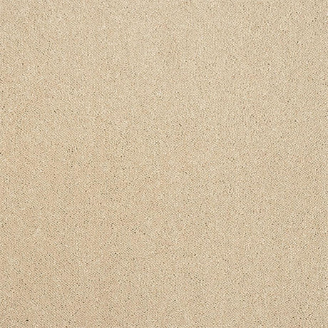 Pure Elegance Carpet