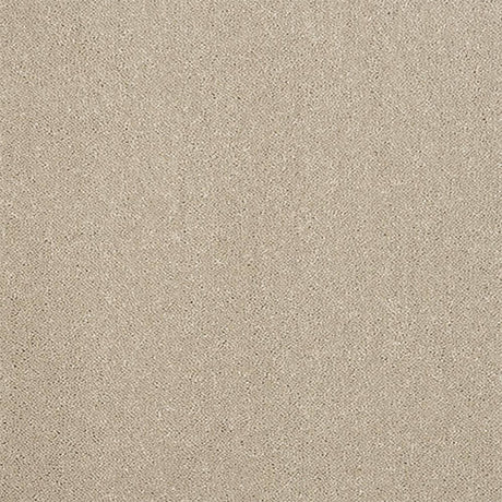 Pure Elegance Carpet