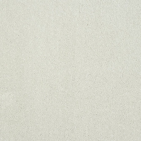 Pure Elegance Carpet