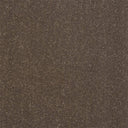 Pure Elegance Carpet